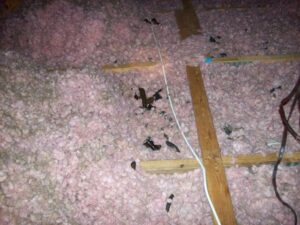 insulation damage ellicott city
